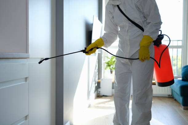 Best Mold Odor Removal Services  in Everett, PA